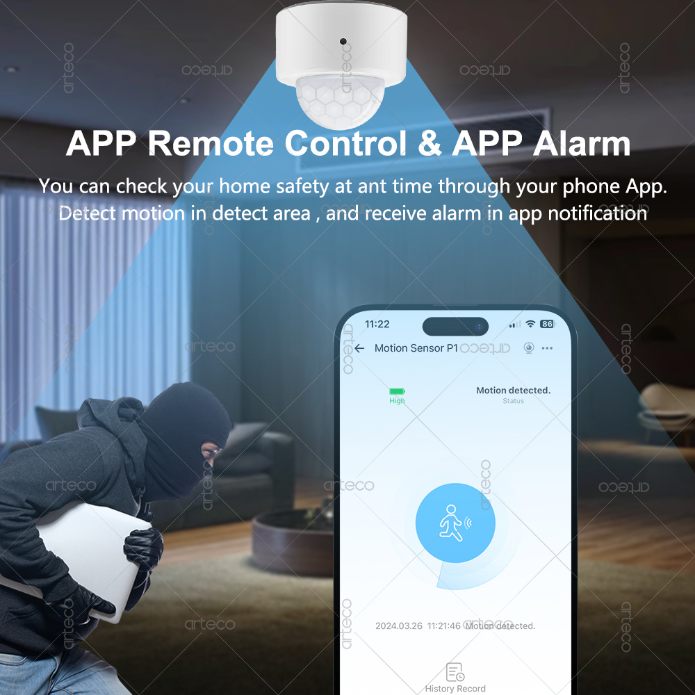 Ewelink Zigbee PIR capteur de  - Smart Home Ir avis et prix