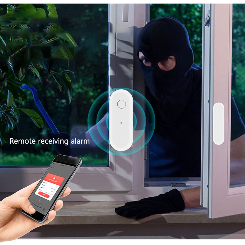 Alarme de réception à distance - Door Window Sensor avis et prix